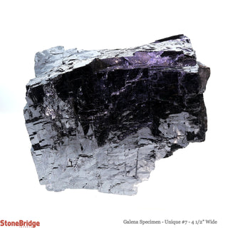 Galena Specimen U#7 from The Rock Space