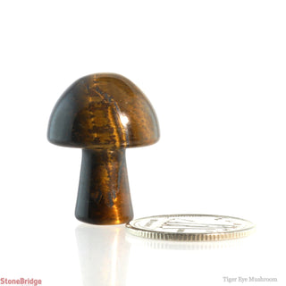 Tiger Eye Mushroom    from The Rock Space