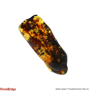 Amber Baltic Tumbled #2    from The Rock Space