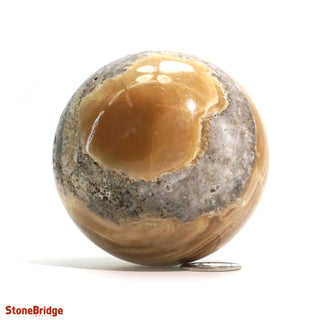 Calcite Golden Sphere - Small #4 - 2 1/2"    from The Rock Space