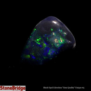 Black Opal Cabochon Gem Quality U#5 - 2ct    from The Rock Space