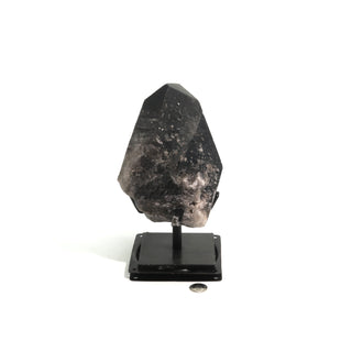 Smoky Quartz Cluster on Iron Stand U#44    from The Rock Space