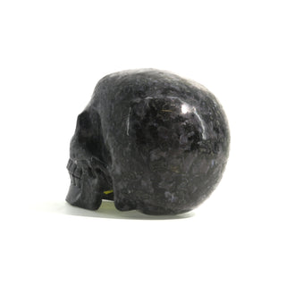 Gabbro Skull U#23    from The Rock Space