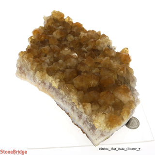 Citrine Cluster #7 - 9"    from The Rock Space