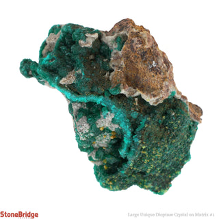 Dioptase Specimen on Matrix U#1 - 2 1/4"    from The Rock Space