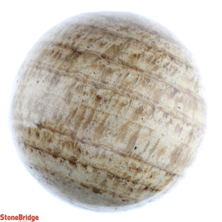 Aragonite Brown Sphere - Small #1 - 2 1/4"    from The Rock Space