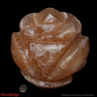 Himalayan Salt Lamp - Design/ Lotus Flower    from The Rock Space