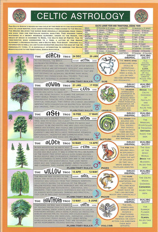 QuickStudy Guide - Celtic Astrology    from The Rock Space