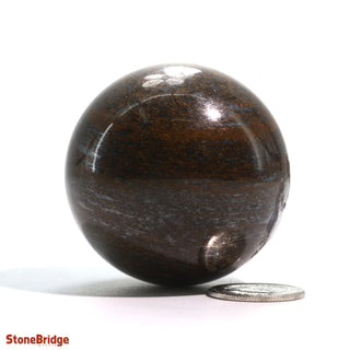 Bronzite Sphere - Extra Small #4 - 2"    from The Rock Space