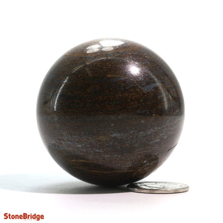 Bronzite Sphere - Extra Small #4 - 2"    from The Rock Space