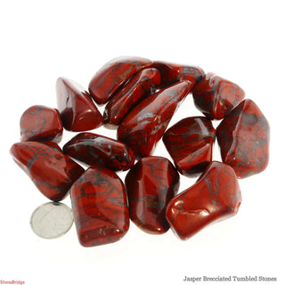 Brecciated Jasper Tumbled Stones    from The Rock Space