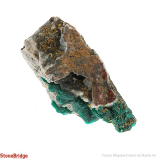 Dioptase Specimen on Matrix U#5 - 1 3/4"    from The Rock Space