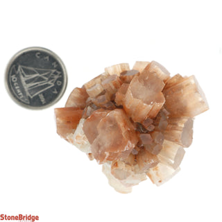 Aragonite Sputnik Cluster #3    from The Rock Space