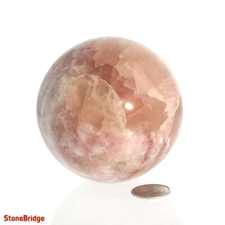 Calcite Rose Sphere - Medium #2 - 2 3/4"    from The Rock Space