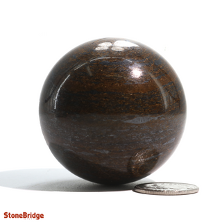 Bronzite Sphere - Extra Small #3 - 2"    from The Rock Space