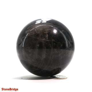 Smoky Quartz Dark Sphere - Small #3 - 2 1/4"    from The Rock Space