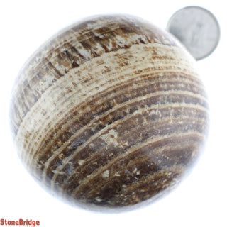 Brown Aragonite Sphere from Stonebridge Imports