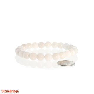 Tridacna Round Bracelet - 8mm    from The Rock Space