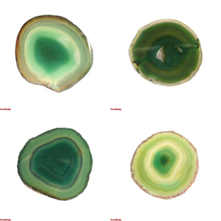 Agate Slices #00 - 1 1/4" to 2" Green (Enhanced) from The Rock Space
