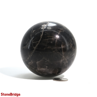 Smoky Quartz Dark Sphere - Medium #3 - 2 3/4"    from The Rock Space