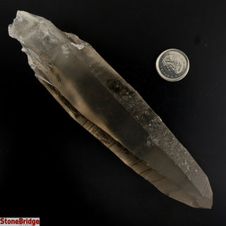 Smoky Lemurian Points #2 - 100g to 199g    from Stonebridge Imports