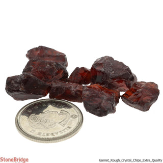 Garnet Rough E Chips - 10g    from The Rock Space