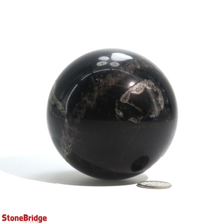 Smoky Quartz Dark Sphere - Medium #3 - 2 3/4"    from The Rock Space