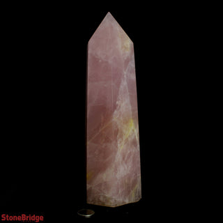 Rose Quartz Generator U#14 - 8 3/4"    from The Rock Space