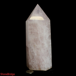 Rose Quartz Generator U#2 - 6 1/4"    from The Rock Space