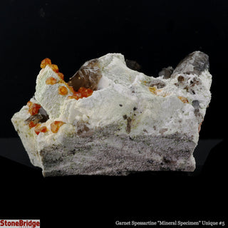 Garnet Spessartine on Smoky Quartz U#5    from The Rock Space