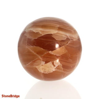 Calcite Honey Sphere - Small #4 - 2 1/2"    from The Rock Space