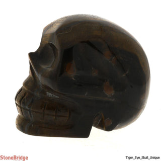 Tiger Eye Skull U#5    from The Rock Space