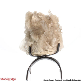 Smoky Quartz Cluster on Iron Stand U#20 - 9"    from The Rock Space