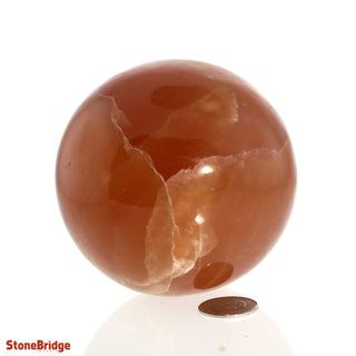 Calcite Honey Sphere - Medium #4 - 3"    from The Rock Space