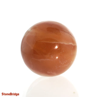 Calcite Honey Sphere - Small #1 - 2 1/4"    from The Rock Space