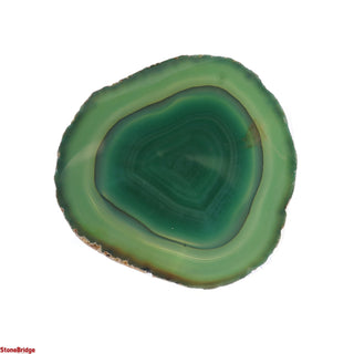 Agate Slices #3 - 3 1/2" to 5"