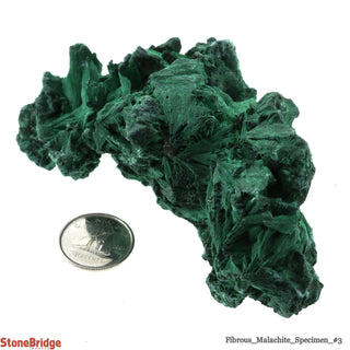 Fibrous Malachite Crystal #3 - 100g to 150g    from The Rock Space