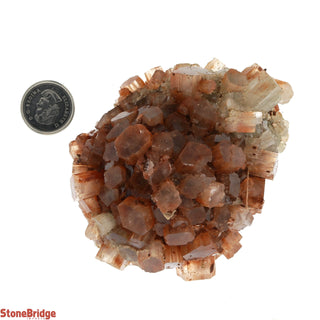 Aragonite Sputnik Cluster #6    from The Rock Space