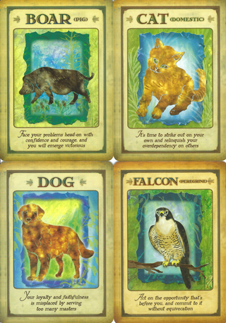 Messages from Your Animal Spirit - DECK    from The Rock Space