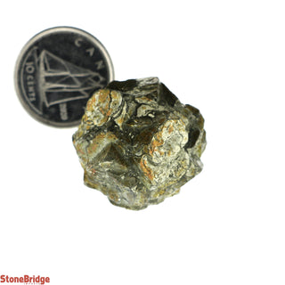 Marcasite Nodules Specimens #3 - 20g to 30g    from Stonebridge Imports