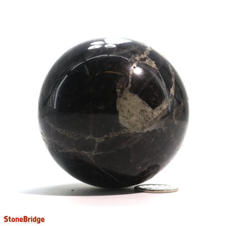 Smoky Quartz Dark Sphere - Small #3 - 2 1/4"    from The Rock Space