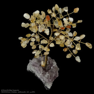 Citrine Wired Gem Tree 8" Tall    from The Rock Space