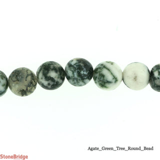 Green Tree Agate - Round Strand 15" - 8mm    from The Rock Space