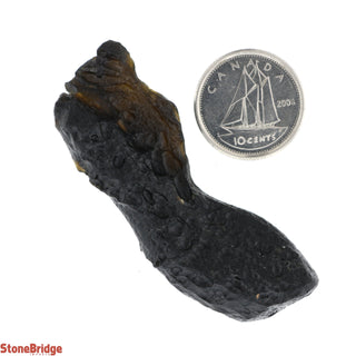 Tektite Black Chips - 100g    from The Rock Space