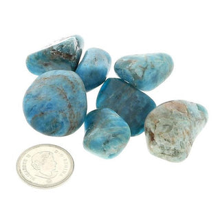 Apatite Blue Tumbled Stones    from The Rock Space