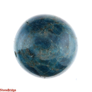 Apatite Blue Sphere - Small #3 - 2 1/4"    from The Rock Space