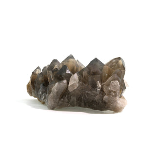 Smoky Quartz Rutilated Cluster U#2    from The Rock Space