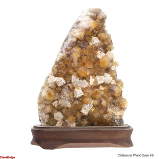 Citrine Cluster on Wood Base #6 - 10"    from The Rock Space