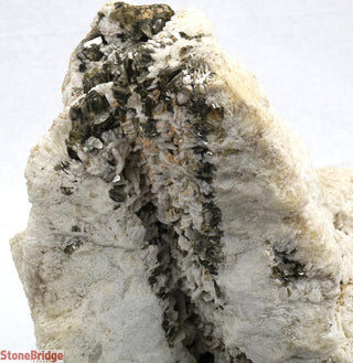 Albite with Cleavelandite Crystal U#7 - 13"    from The Rock Space