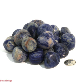 Sodalite B Tumbled Stones - India Large from Stonebridge Imports
